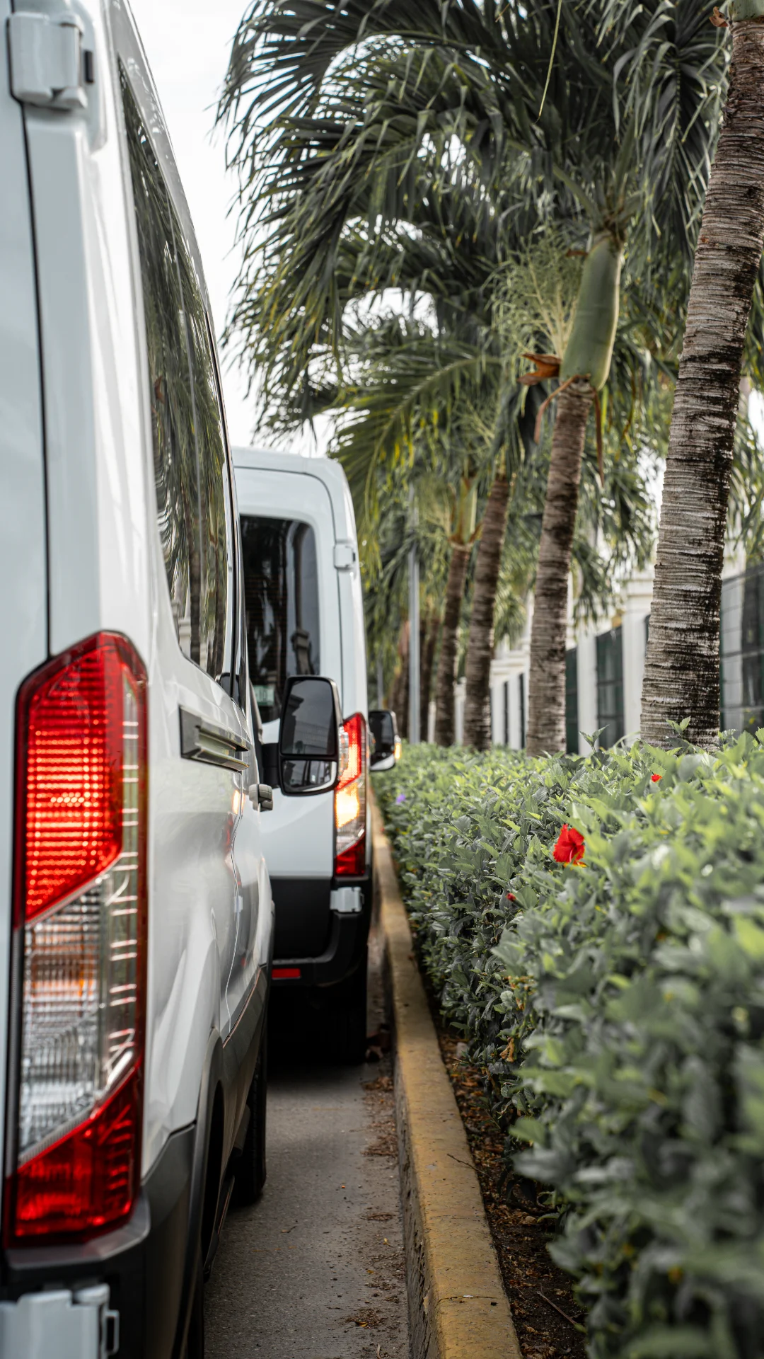 Caribe Nut Storie-IMG-13