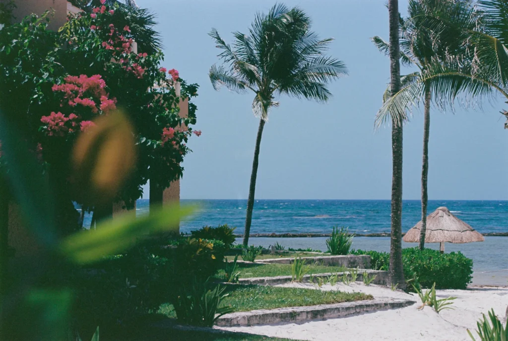 Puerto Aventuras Private Transportation 1 ana lucia licea 9L9UY8wr7hI unsplash