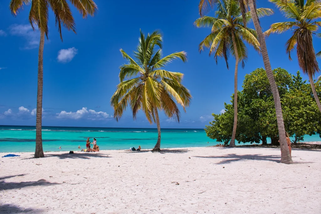 Tulum Private Tour 6 lutz dieckmann ldp media design 7TP kYL5y9o unsplash