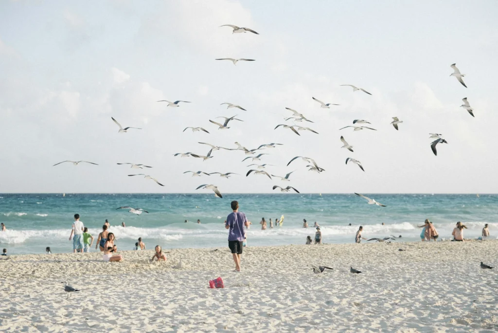 Playa del Carmen Private Transportation 4 maria jesus errazuriz y xf4QNEegg unsplash