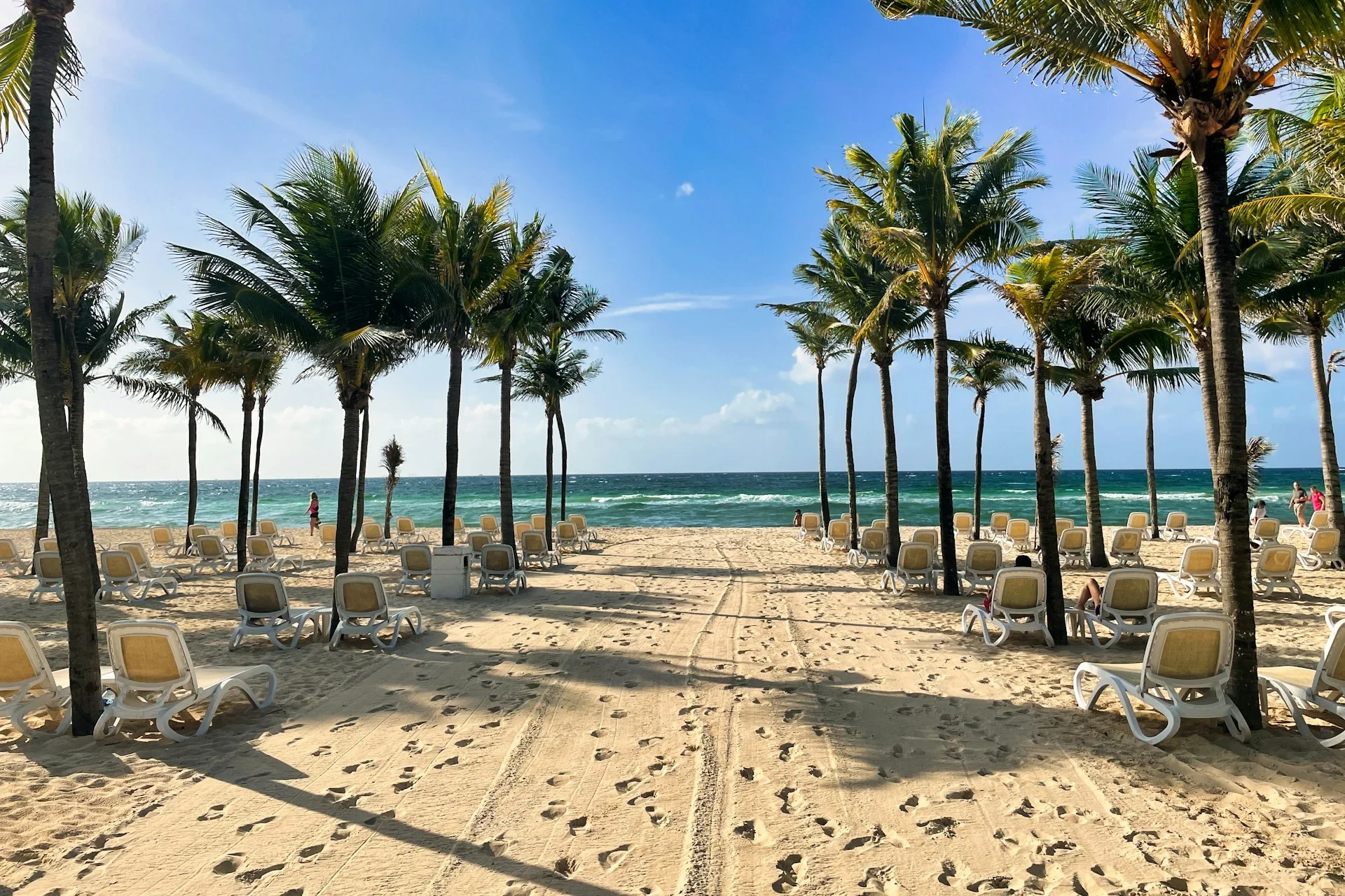 Playa del Carmen Private Transportation 2 rajiv perera D pP GRIh8M unsplash edited