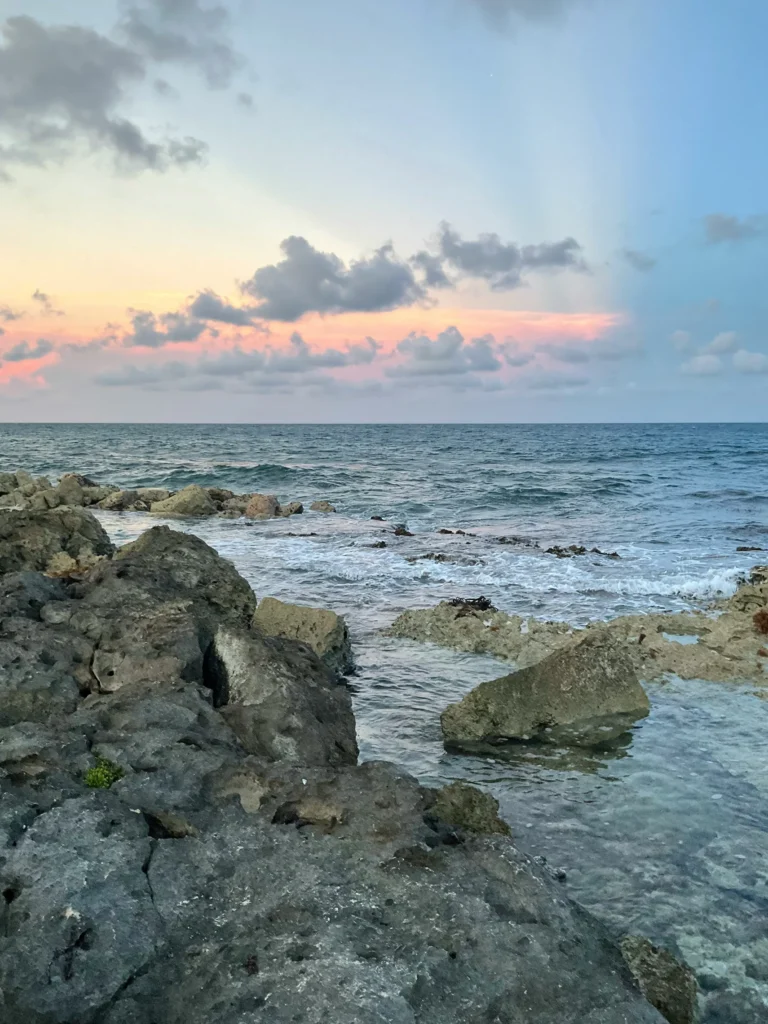 Puerto Aventuras Private Transportation 3 toutous creation graphique MRdkG3zBKv8 unsplash